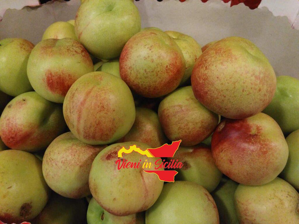 Le pesche Sbergie o Smergie