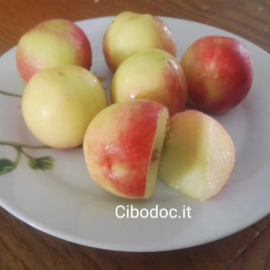 Le pesche Sbergie o Smergie