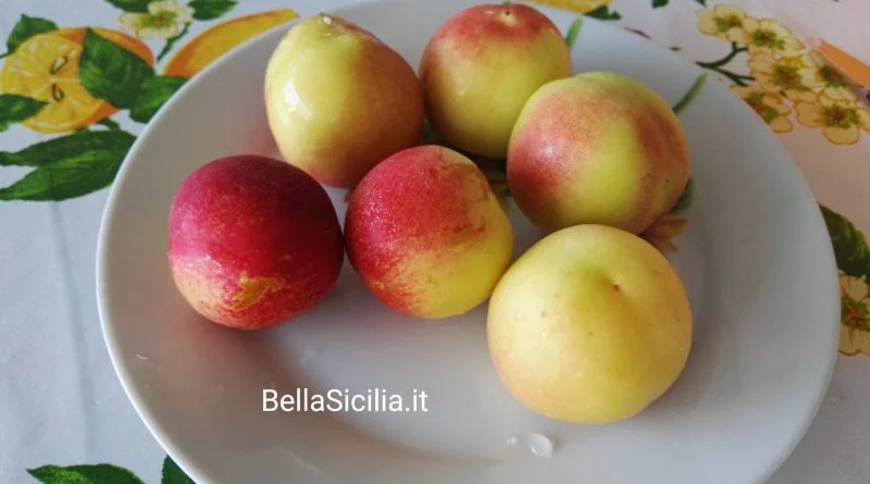 Le pesche Sbergie o Smergie